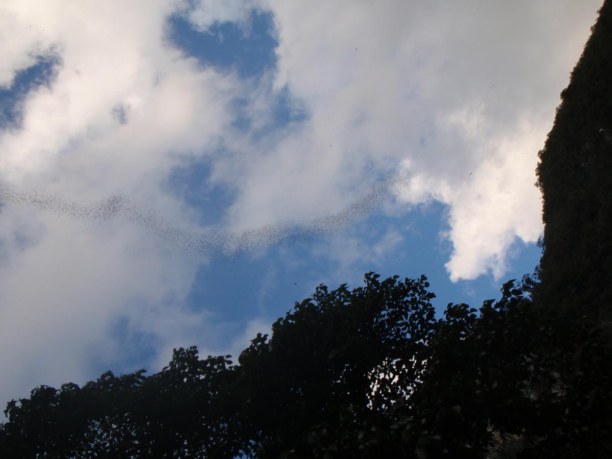 本那拉山林小屋 姆鲁 外观 照片